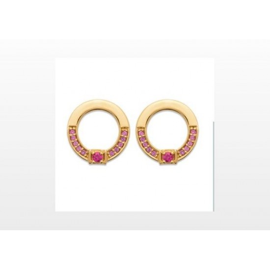 BOUCLES D'OREILLES EN PLAQUE OR