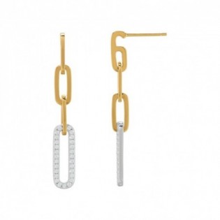 Boucles d'Oreilles Charles Garnier