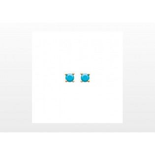 BOUCLES D'OREILLES PLAQUE OR