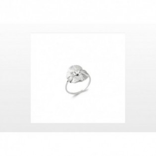 BAGUE EN ARGENT