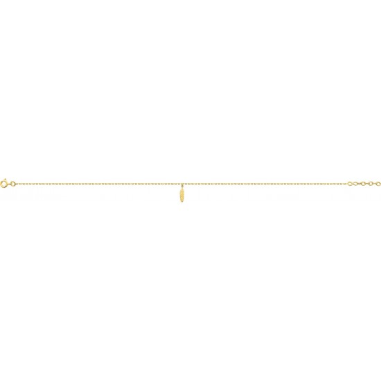 CHAINE CHEVILLE PLAQUE OR